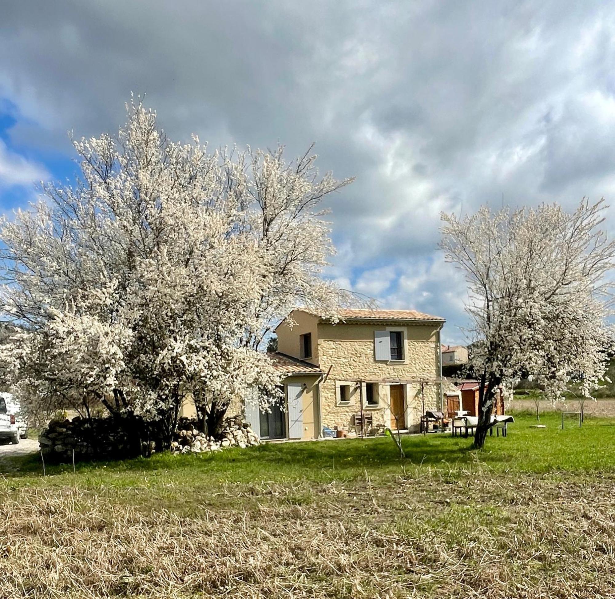 Villa Le Petit Cabanon Provencal Mane  Exterior foto